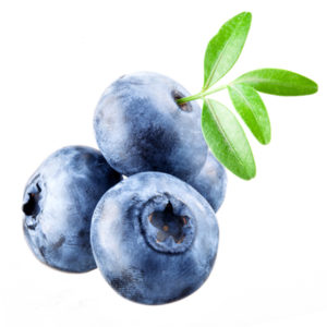 blueberry1